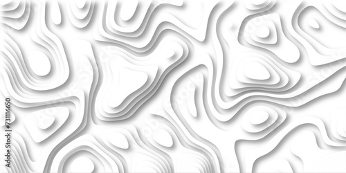  3D Papercut Stylized White topographic contour scheme and terrain. Topography grid map. Contour map background. Geographic line mountain relief. Abstract lines or wavy backdrop background.