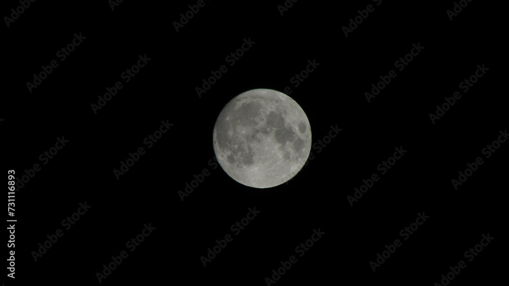 moon in the night moon in the night