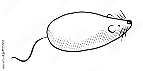 BLACK AND WHITE VECTOR DRAWING OF A TOY MOUSE FOR PETS © elena