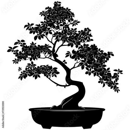 Silhouette bonsai tree black color only