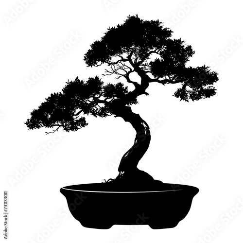Silhouette bonsai tree black color only photo