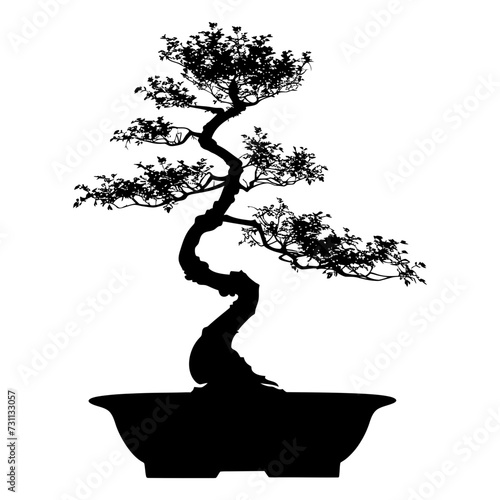 Silhouette bonsai tree black color only