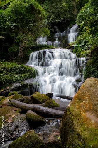 Waterfall cascading through a lush forest with rocks and trees,