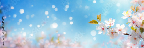 Spring background with blooming cherry tree branch over blue sky. Copy space © Mariusz Blach