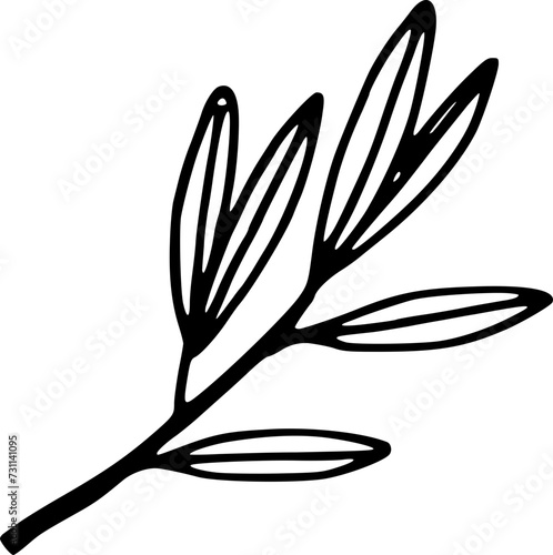 Hand drawn olive tree branch with leaves isolated on background. Black white icon. Vector doodle illustration. Mediterranean floral plant clipart for cards, web.