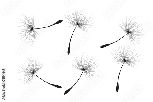 Vector illustration of dandelion seeds in black on white background.