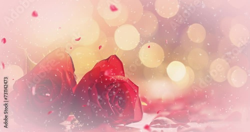 Saint-valentin rose rouge I love you