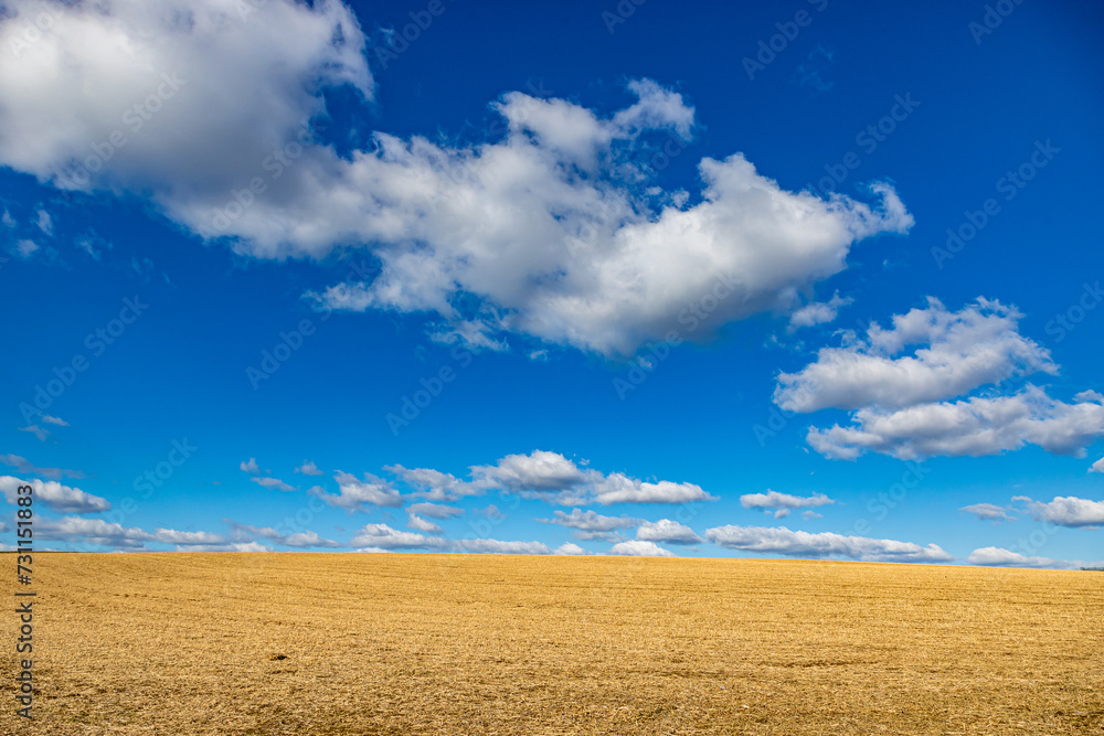 Landscape of stubble field after harvest, Dutch agricultural land against blue sky with white clouds, horizon in background, sunny day in Catsop, Stein in South Limburg, Netherlands