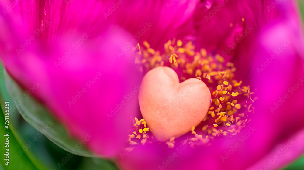 Fototapeta premium Heart in a blooming flower