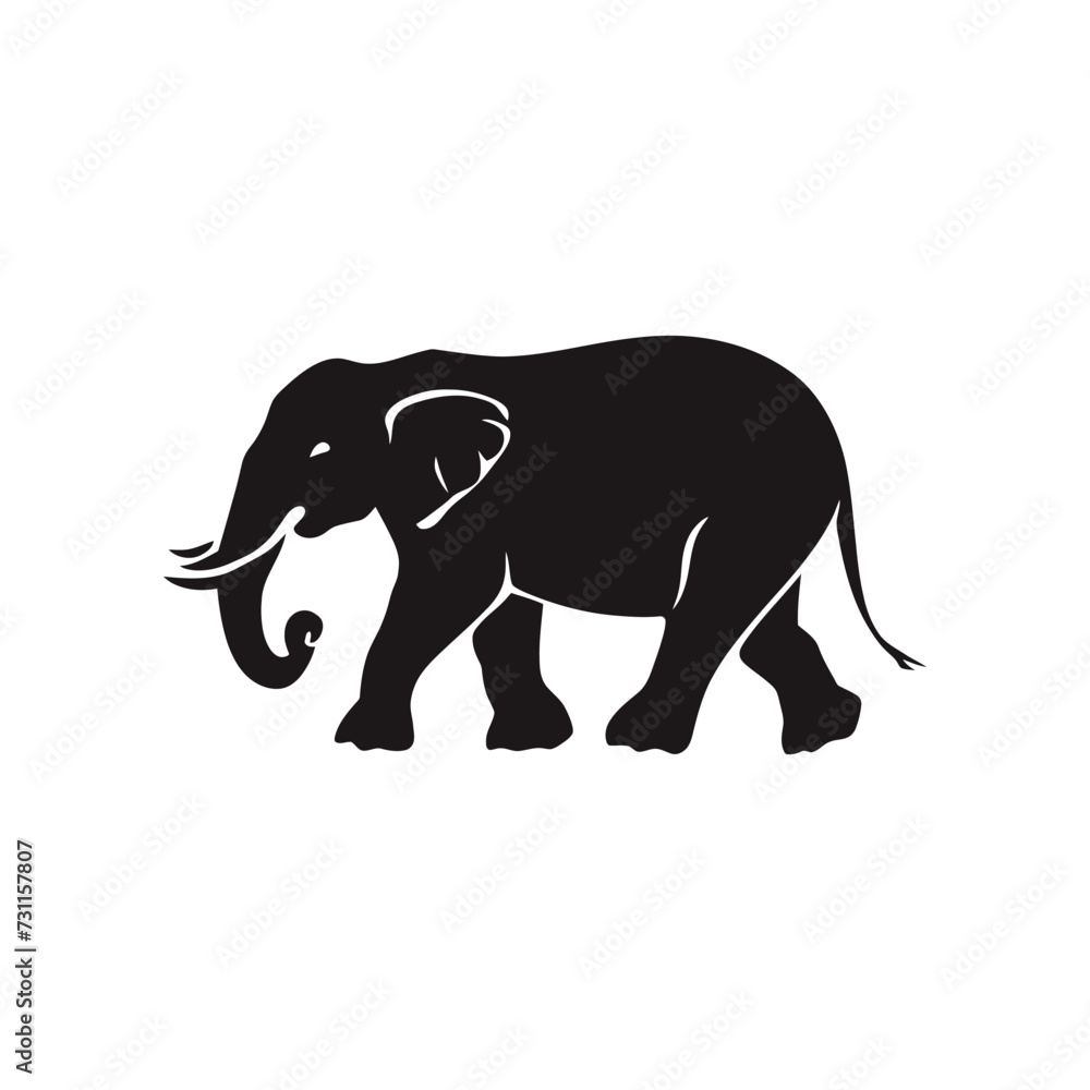 Obraz premium elephant vector silhouette