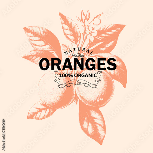 natural the best oranges is organic fruit, food fashion, fruit t-shirt print design, summer print design 