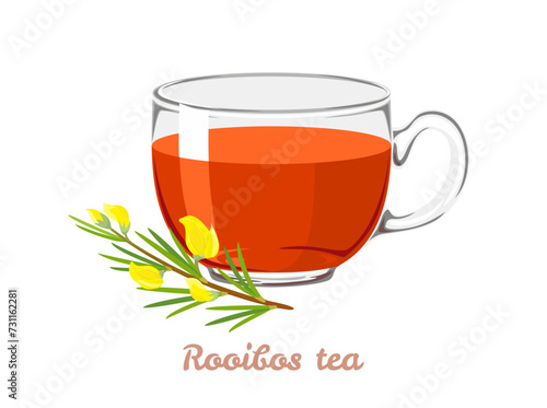 Rooibos tea in transparent glass cup and flower. Vector cartoon illustration of herbal red tea.