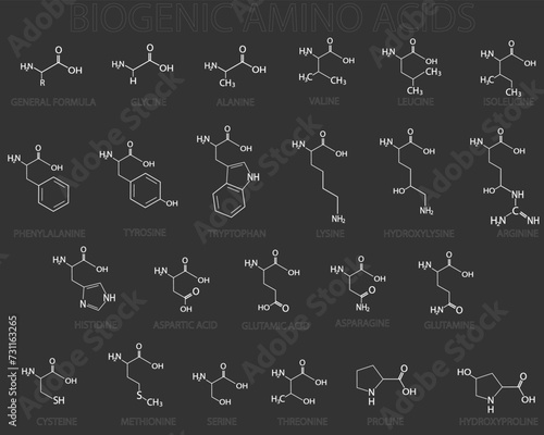 Biogenic amino acids molecular skeletal chemical formula.