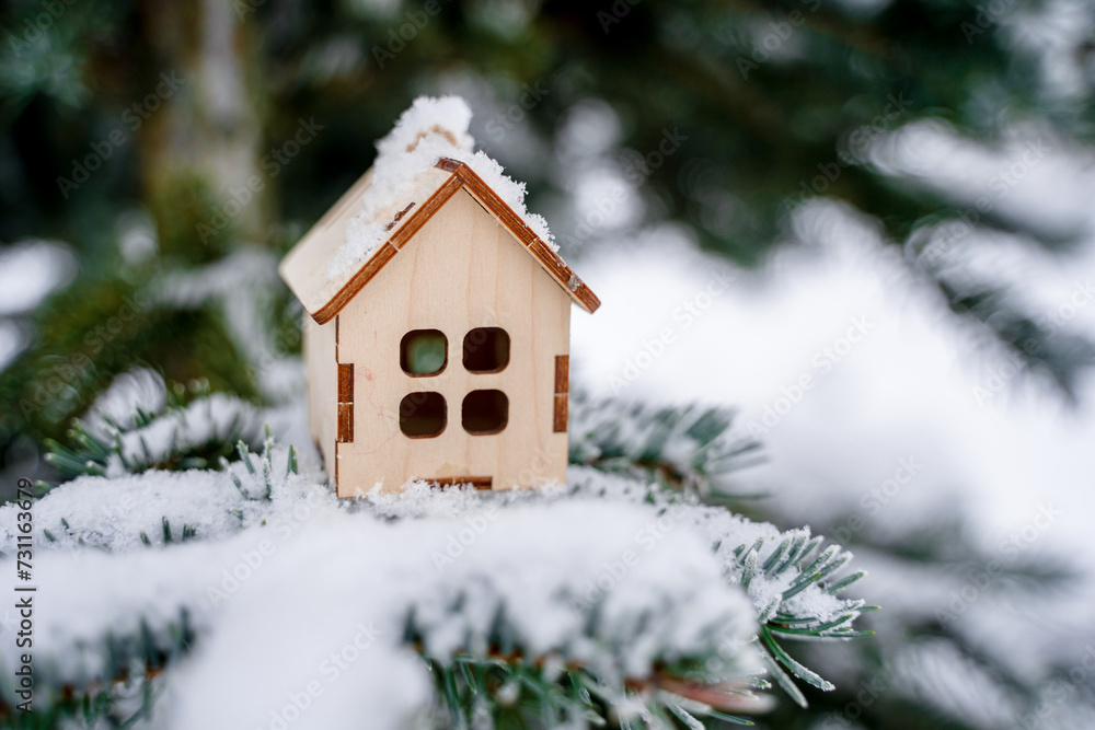 A toy wooden house on a branch of a fir tree in the snow in winter in the park. Concept of winter, Christmas, new year, buying real estate in winter
