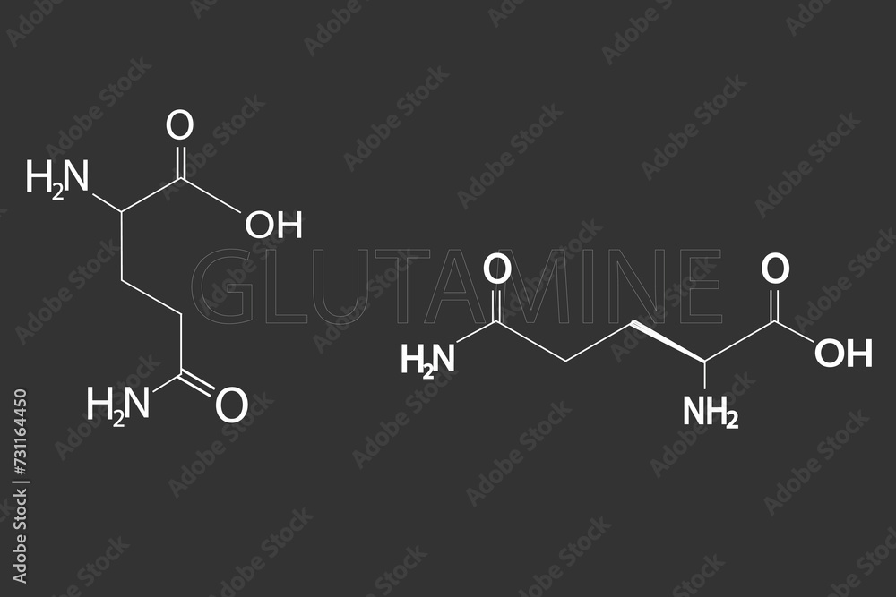 Glutamine molecular skeletal chemical formula.