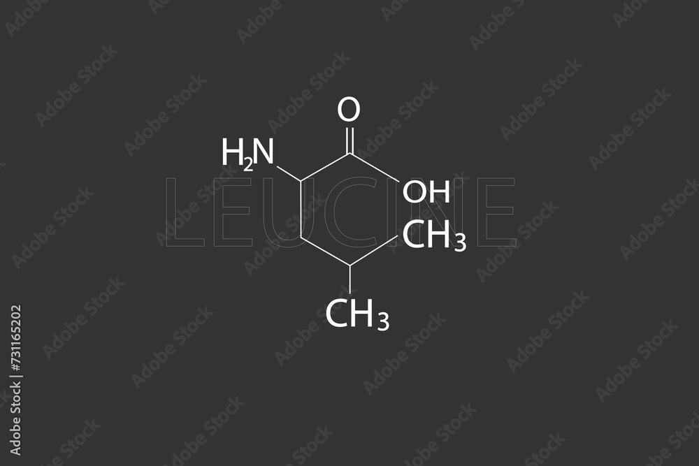 Leucine molecular skeletal chemical formula. Leucine molecular skeletal chemical formula.