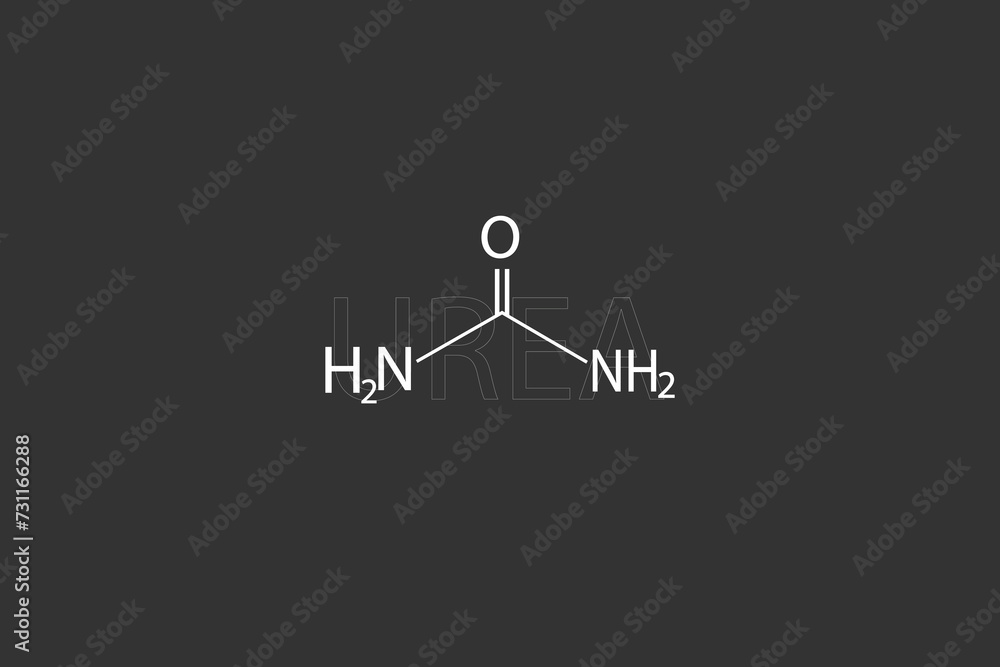 Urea molecular skeletal chemical formula. Urea molecular skeletal chemical formula.