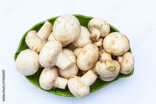 White mushrooms in a plate on white background 