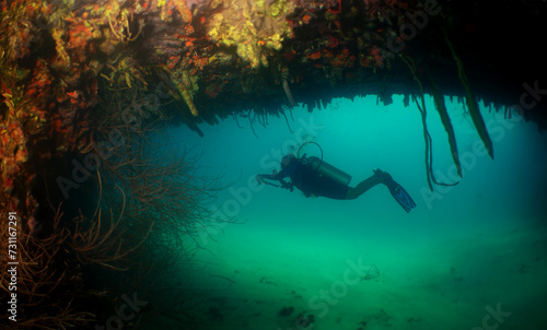 a diver exploring a shipwreck on the island of Curacao