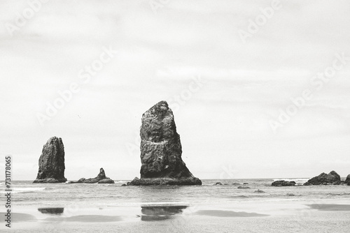 Rock Off The Oregon Coast