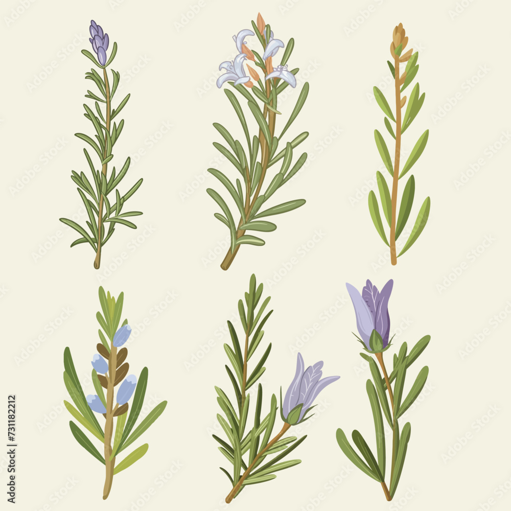 Obraz premium Flower Elements Vector, Flower icon Collection vector illustration