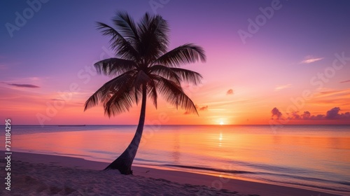 Palm tree silhouette against a vibrant sunset on a tranquil beach