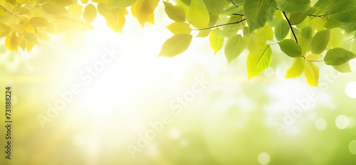 greenery scenery under green leaves branch tree shade with bright light, green park outdoor background backdrop wallpaper, Generative Ai 