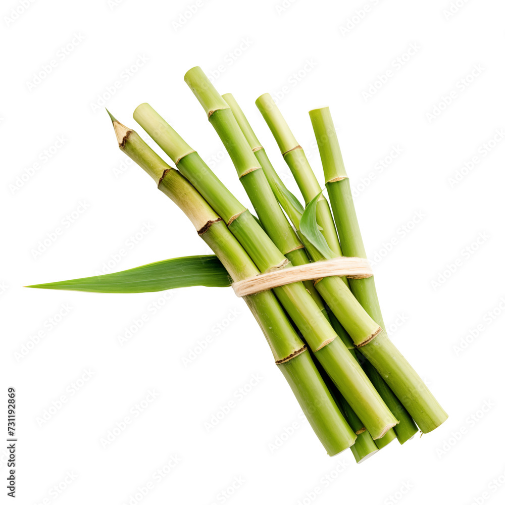 Fototapeta premium bunch of green bamboos isolated on 