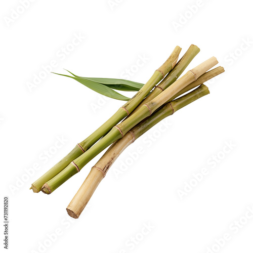 bunch of green bamboos isolated on 