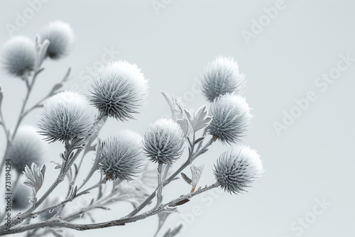 A modern, minimalist art piece featuring an oversized burdock plant with sleek metallic burrs against a stark white background,