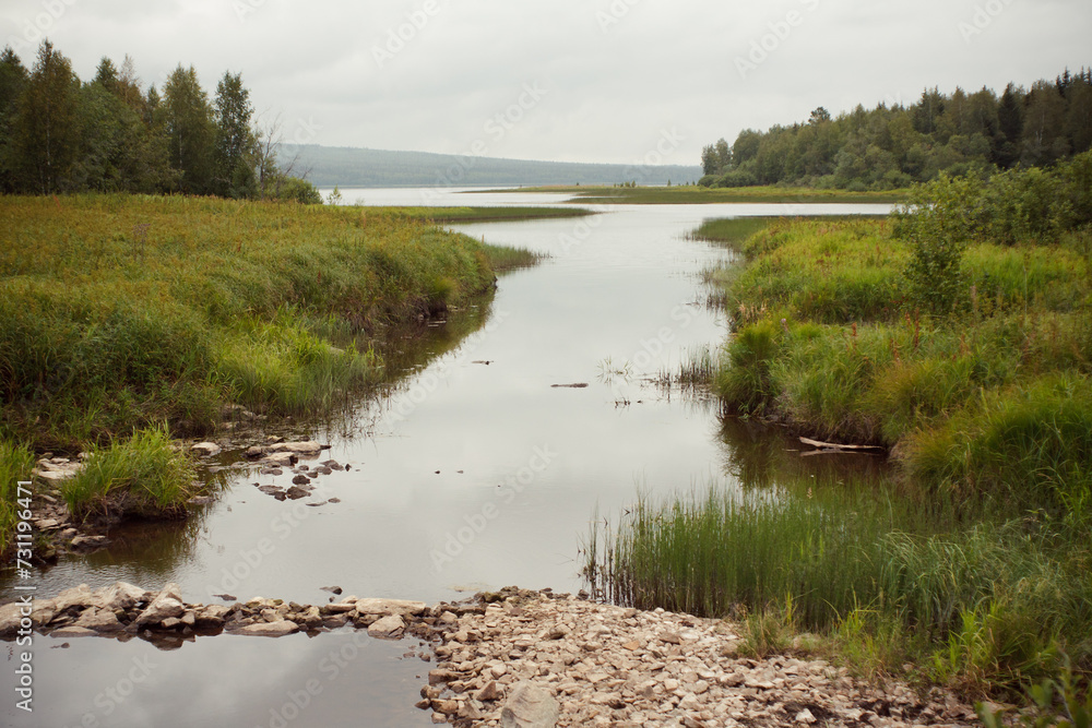 Lake and River in the Forest Near Green Trees and Grass in Overcast Weather