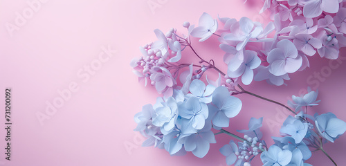 flowers and flowers on a pink background in