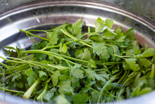 Green parsley leaves in a plate closeup photo