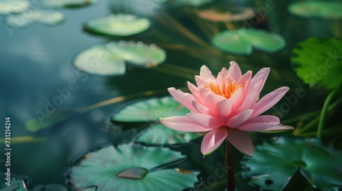 Beauty Water Lily or Lotus Flower Floating on deep lake water. AI generated image