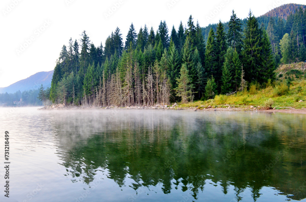 Fog in the early morning on a mountain lake with pine trees 