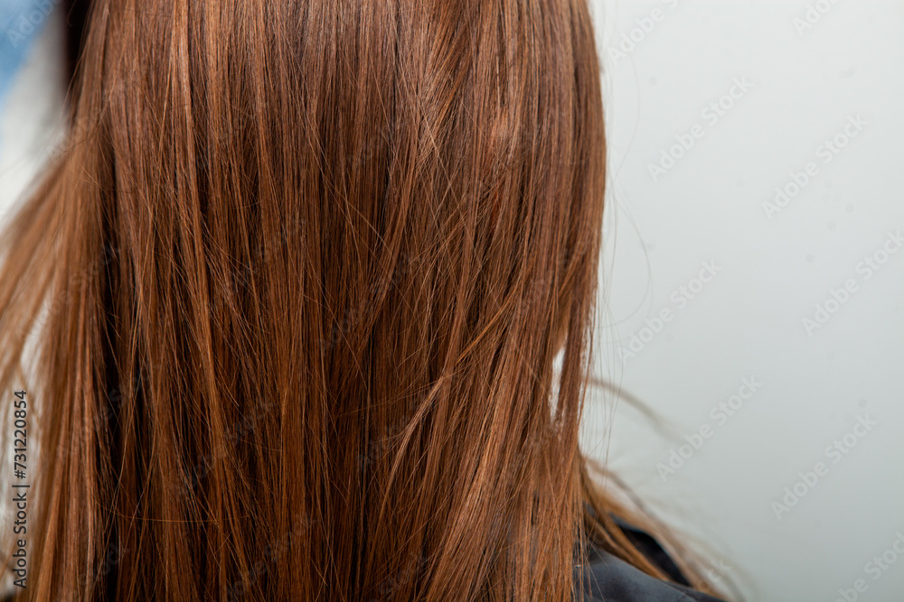 Photo of a European girl with long and beautiful brunette hair at the beauty salon. Shiny and healthy hair Photo of a European girl with long and beautiful brunette hair at the beauty salon. Shiny and healthy hair