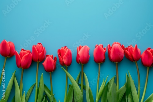 Striking Red Tulips Provide Stunning Contrast Against Tranquil Blue Background, Ideal For Advertisement