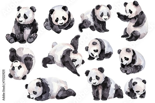 Set of pandas isolated on white background