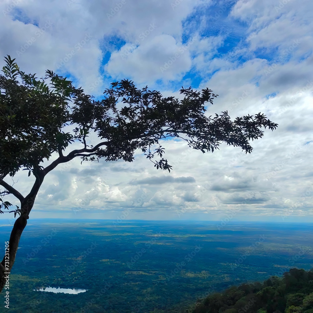 A trees and mountains view of a cliff surrounded by trees and plants, with clouds in the sky.