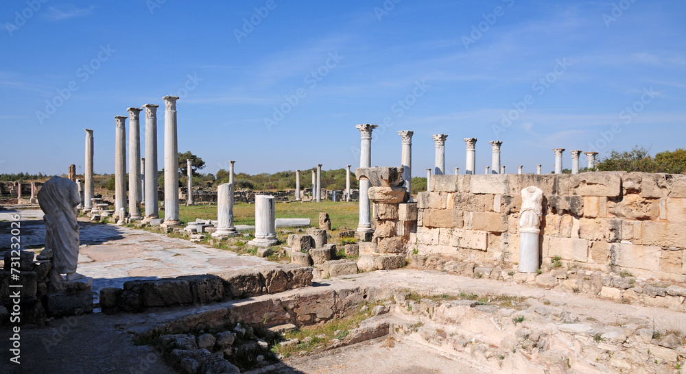 Salamis Ancient City in Cyprus. - obrazy, fototapety, plakaty 