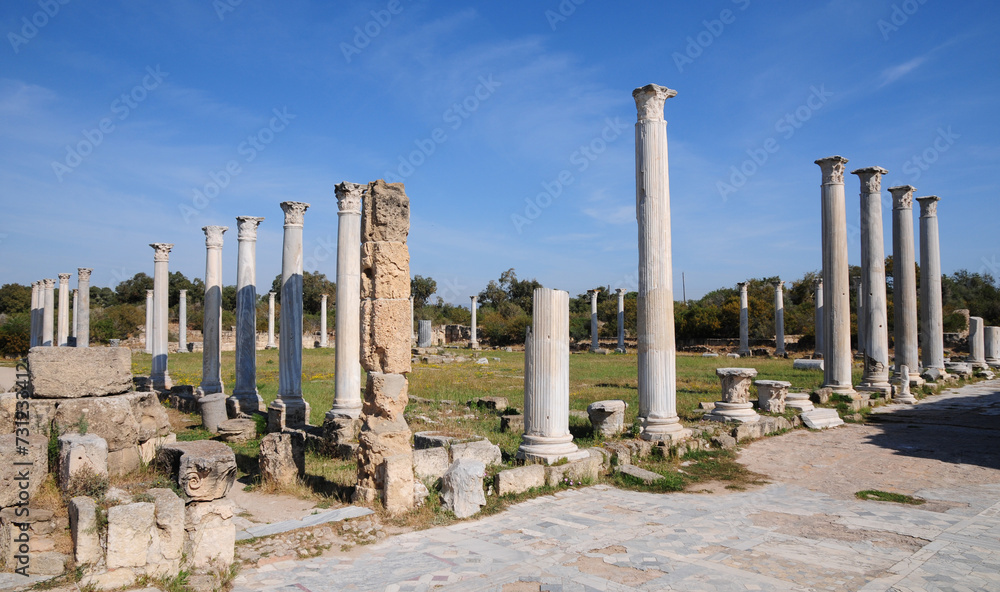 Fototapeta premium Famagusta, Cyprus. April 14, 2013. Salamis Ancient City in Famagusta, Cyprus.