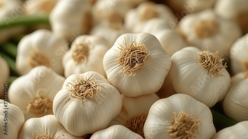 Pile of garlic. Close up view.
