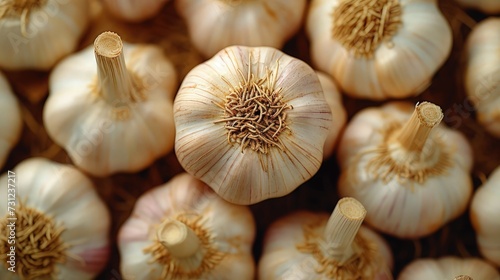Garlic on wooden table. top view.