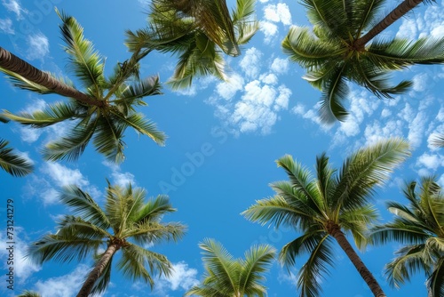 Blue sky and palm trees A tropical and summery backdrop A travel and vacation concept A view from below capturing the essence of a beach getaway