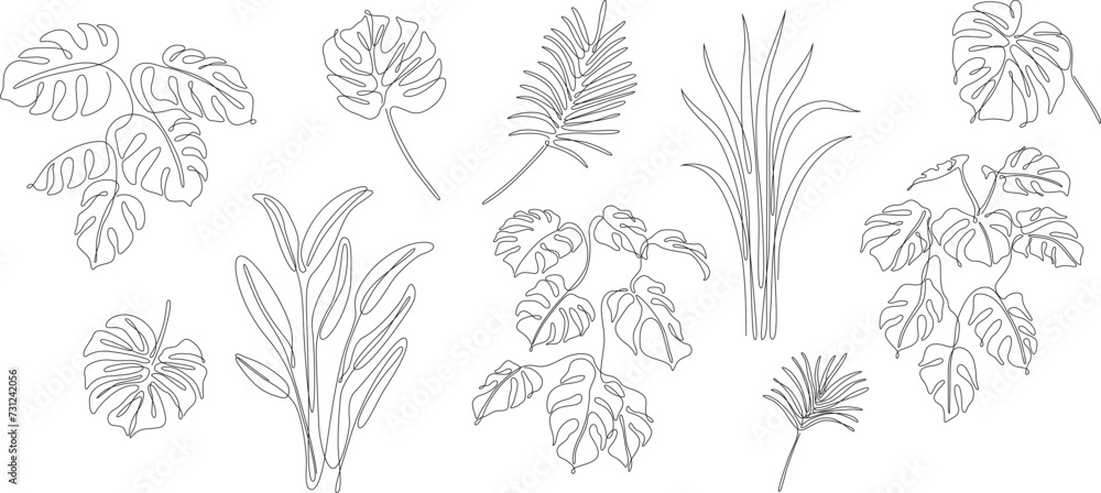 Abstract set of tropical leaves. Black and white engraved ink art continuous line. Isolated leaf illustration element on white background.