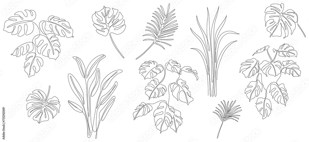 Abstract set of tropical leaves. Black and white engraved ink art continuous line. Isolated leaf illustration element on white background.