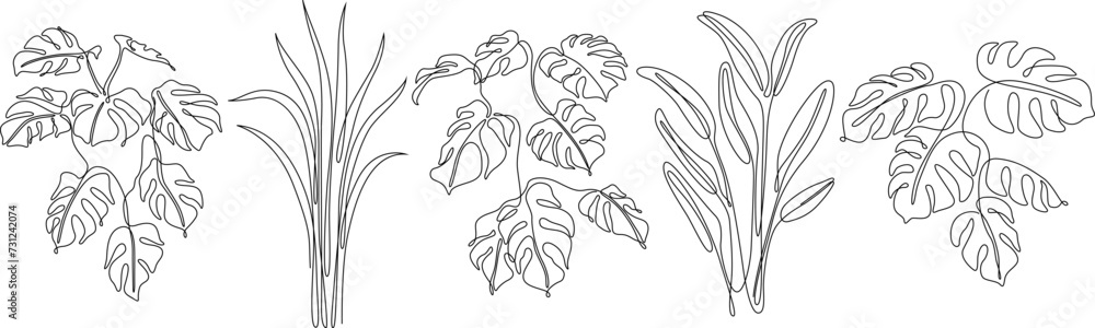 Abstract set of tropical leaves. Black and white engraved ink art continuous line. Isolated leaf illustration element on white background. Abstract set of tropical leaves. Black and white engraved ink art continuous line. Isolated leaf illustration element on white background.