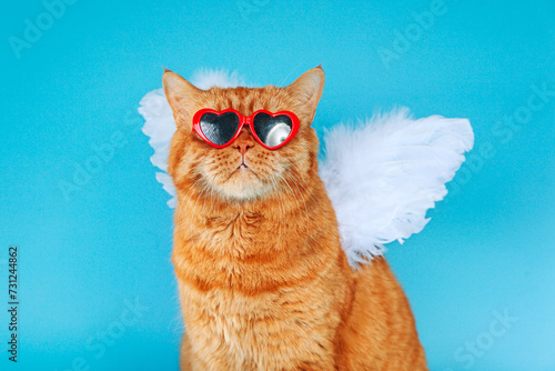 Close-up portrait of ginger british cat with in sunglasses and angel wings on blue background. Valentines Day concept