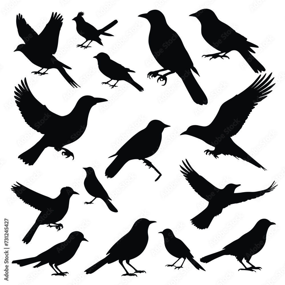 Obraz premium Bird silhouettes set silhouette of birds collection vector illustration