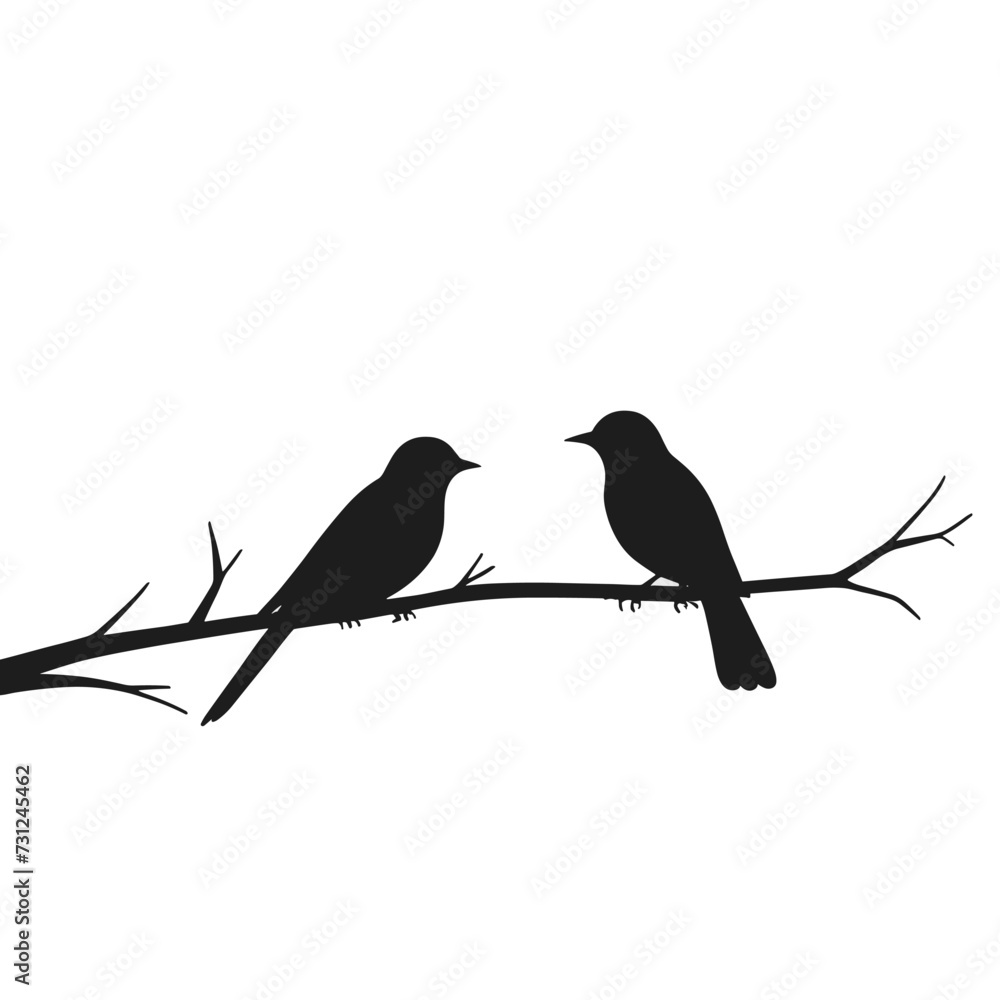 Bird silhouettes set silhouette of birds collection vector illustration Bird silhouettes set silhouette of birds collection vector illustration